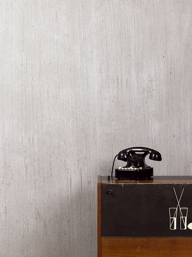 Vieroplast (25kg) | Decorative Acrylic Textured Plaster for Interiors