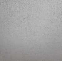 Viero Marmorin Extra (Coarse) 25kg | Marmorino Polished Lime Wall Plaster