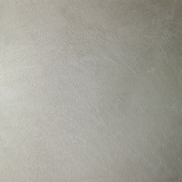 Viero Marmorin Hydro (Fine) 25kg | Lime-Based Venetian Polished Plaster